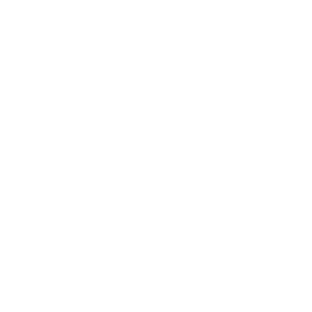 Insight Engineers