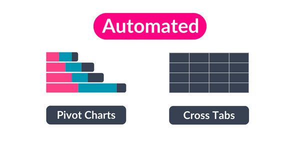 Automated pivot charts and cross tabs